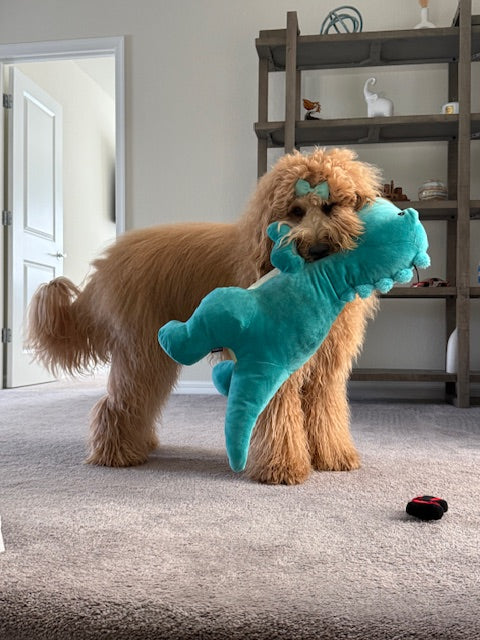 Inspired by Kona