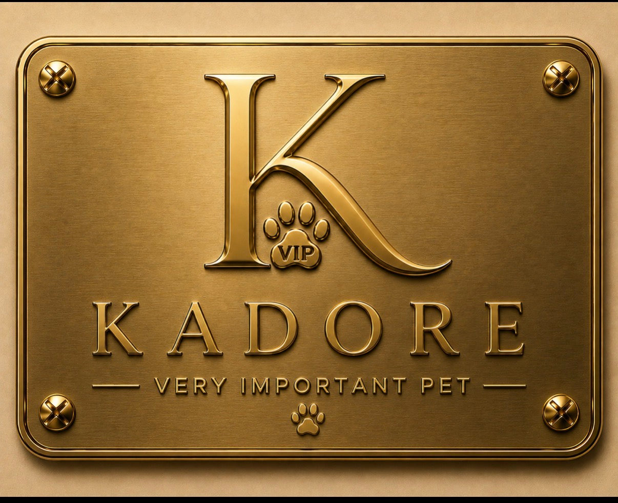 Why Your Dog Deserves Luggage of Their Own